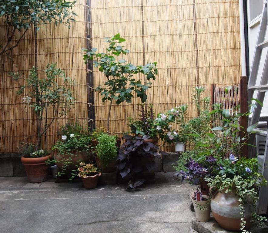 Guesthouse Usagi-Momiji Kyoto Exterior photo